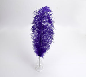 Custom Ostrich Feather Ballpoint Pen with Glass Stand