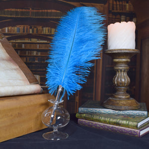 Custom Ostrich Feather Ballpoint Pen with Glass Stand