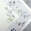 Wildflowers Note Card and Envelope Set of 10, Kartos Wildflower Cards