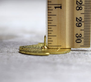 Book Wyrm Enamel Pin