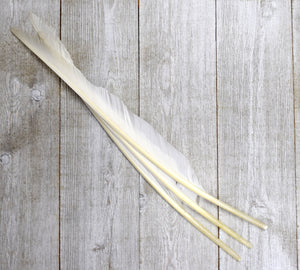 Goose Pointer Feathers for Quills