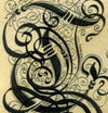 calligraphy detail illuminated initial line work
