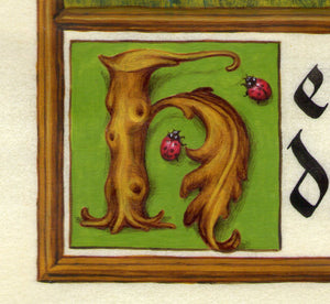 detail illuminated initial H twig with leaf and ladybugs