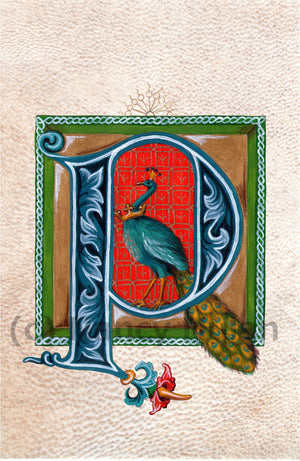 Calligraphy print initial letter P is for peacock