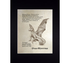 Mythological Beasts: Wyvern Fine Art Print